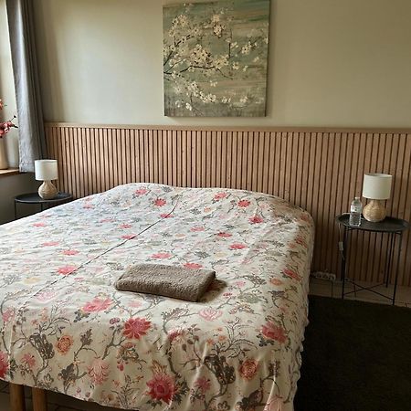 Au Coeur Des Collines, Charmette Villa Ellezelles ภายนอก รูปภาพ