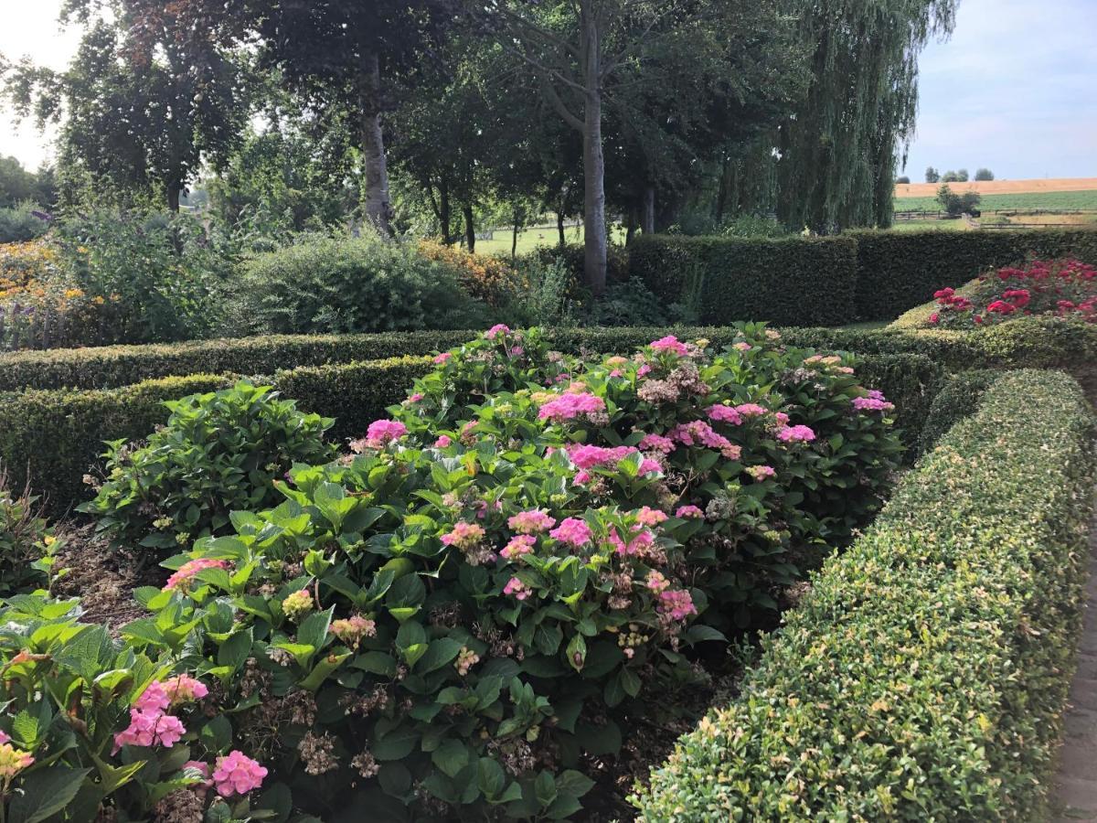 Au Coeur Des Collines, Charmette Villa Ellezelles ภายนอก รูปภาพ